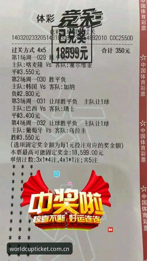 从新手到老手：我的体彩世界杯官网足球博彩网站教程与实战心得
